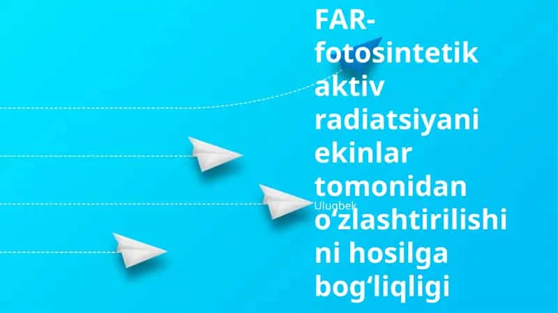 FNF yutilishi 1