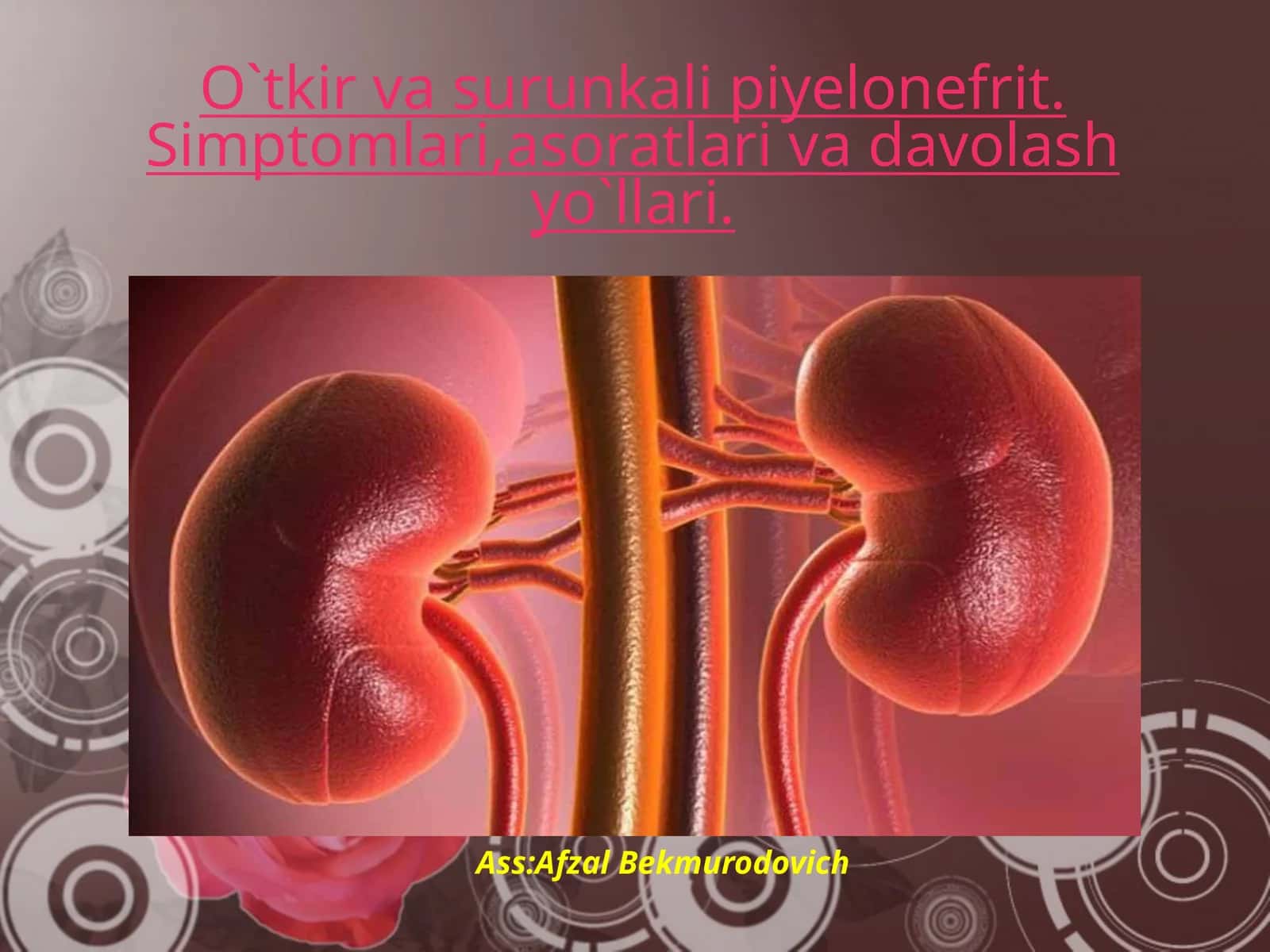 O`tkir va surunkali piyelonefrit. Simptomlari, asoratlari va davolash yo`llari 1