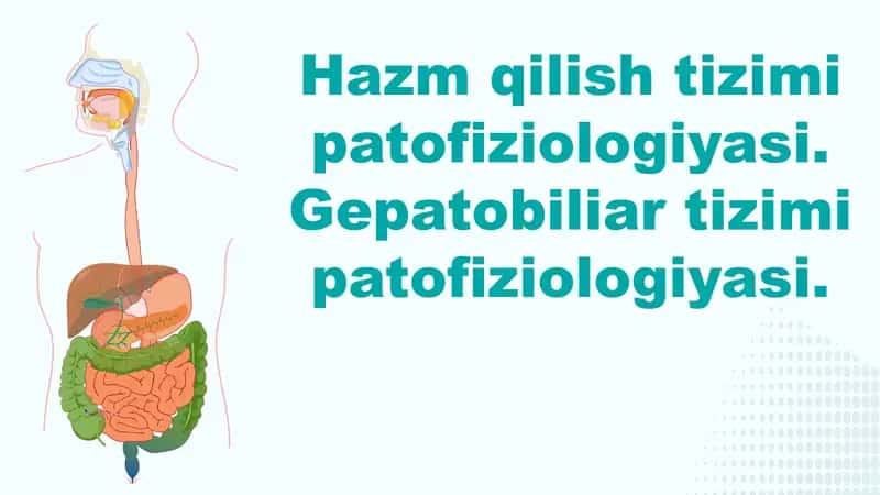 Hazm qilish tizimi patofiziologiyasi 1