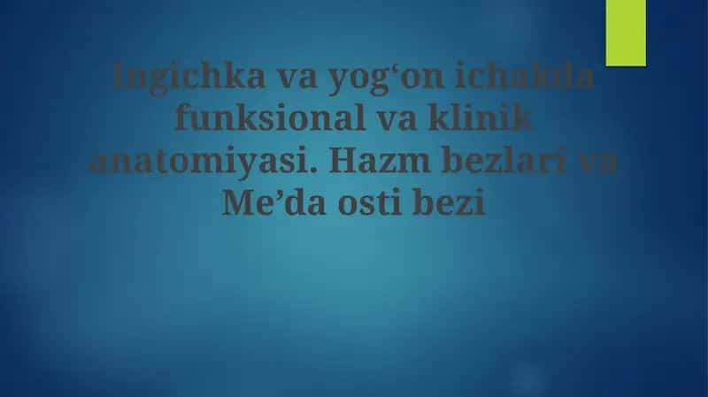 Ingichkavayogʻonichakdafunksionalvaklinikanatomiyasi 1