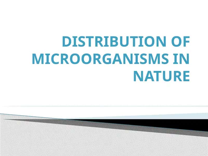 Distribution of microorganisms in nature 1