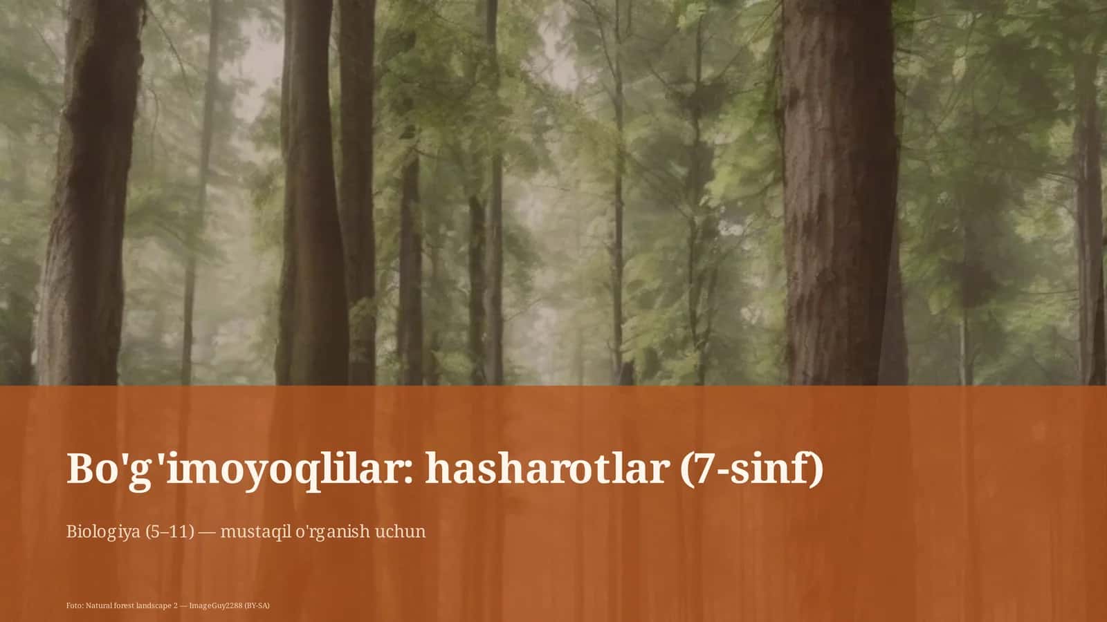 Bo'g'imoyoqlilar: hasharotlar (7-sinf) 1