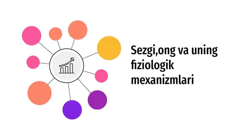 Sezgi, ong va uning fiziologik mexanizmlari 1
