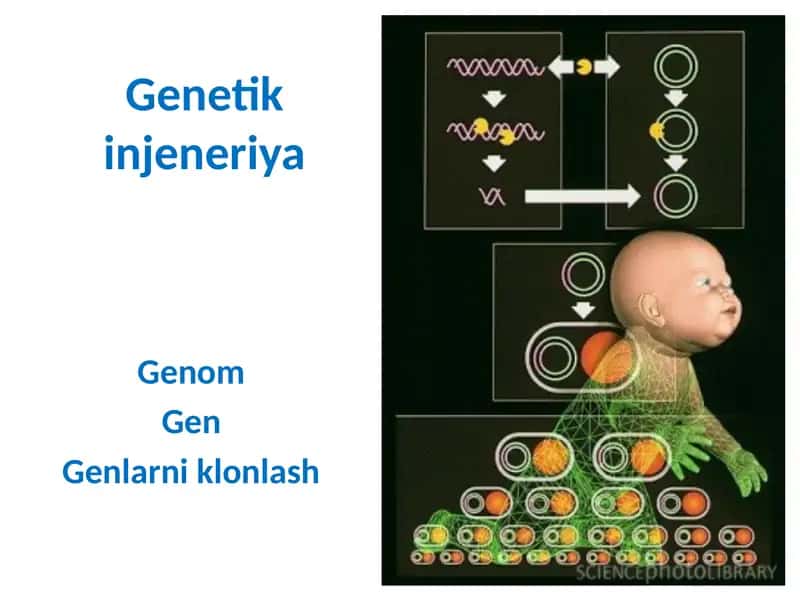 Genetik injeneriya 1