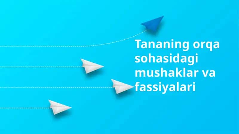 Tananing orqa sohasidagi mushaklar va fassiyalari 1