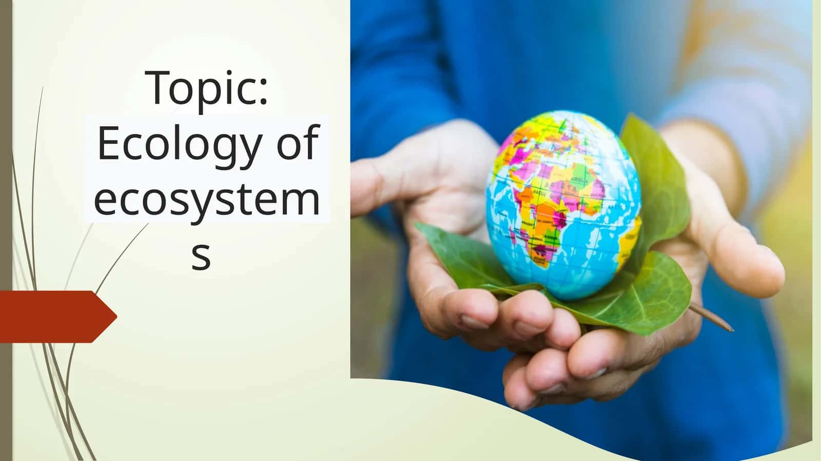 Ecology of ecosystems 1