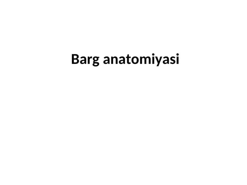 Barg anatomiyasi 1