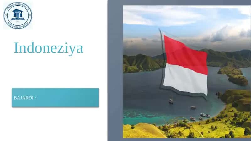 Indoneziyadagi davlat byudjeti tizimi va uning boshqarish mexanizmi 1