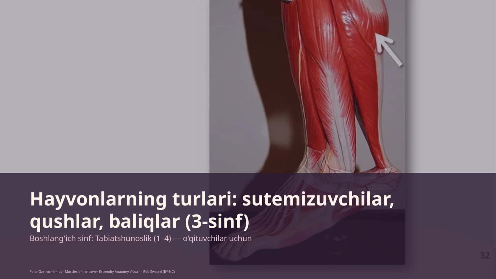 Boshlang'ich sinf: Tabiatshunoslik 1