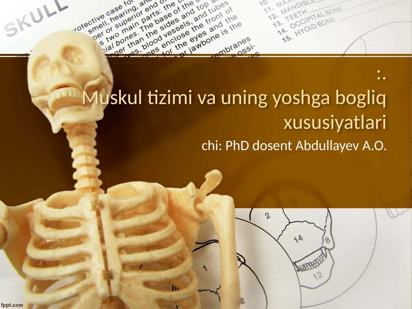 Muskul tizimi va uning yoshga bogliq xususiyatlari 1