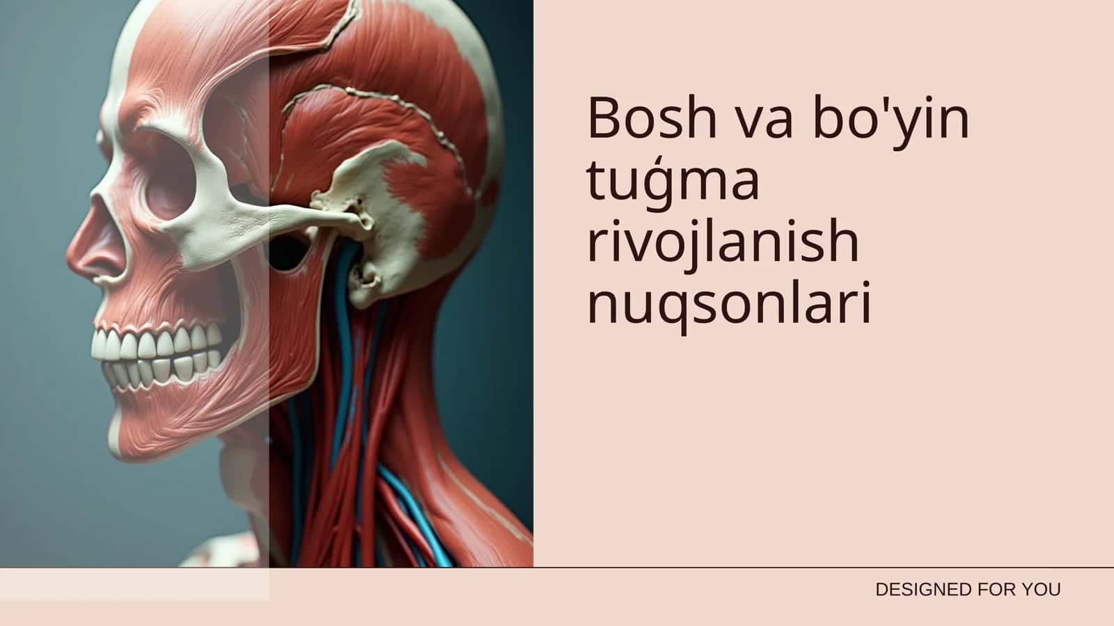 Bosh va bo'yin tuģma rivojlanish nuqsonlari 1