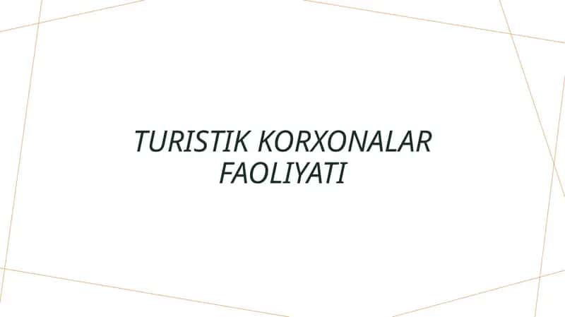 Turistik korxonalar faoliyati 1