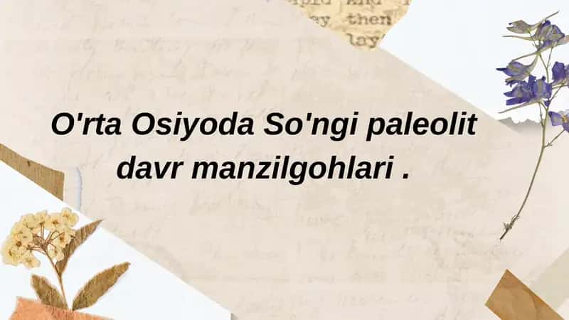 So'nggi paleolit davri 1