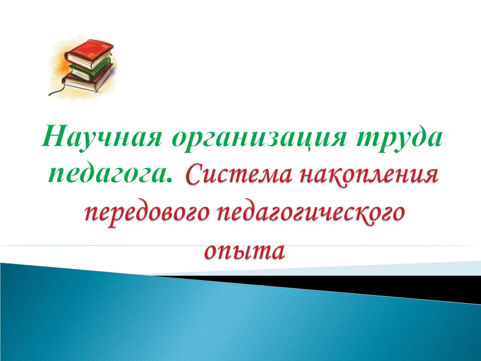Сущность и принципы научной организации педагогического труда 1