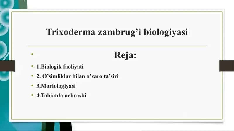 Trixoderma zambrug’i biologiyasi 1