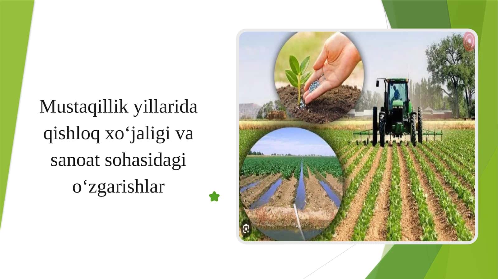 Mustaqillik yillarida qishloq xoʻjaligi va sanoat sohasidagi oʻzgarishlar 1