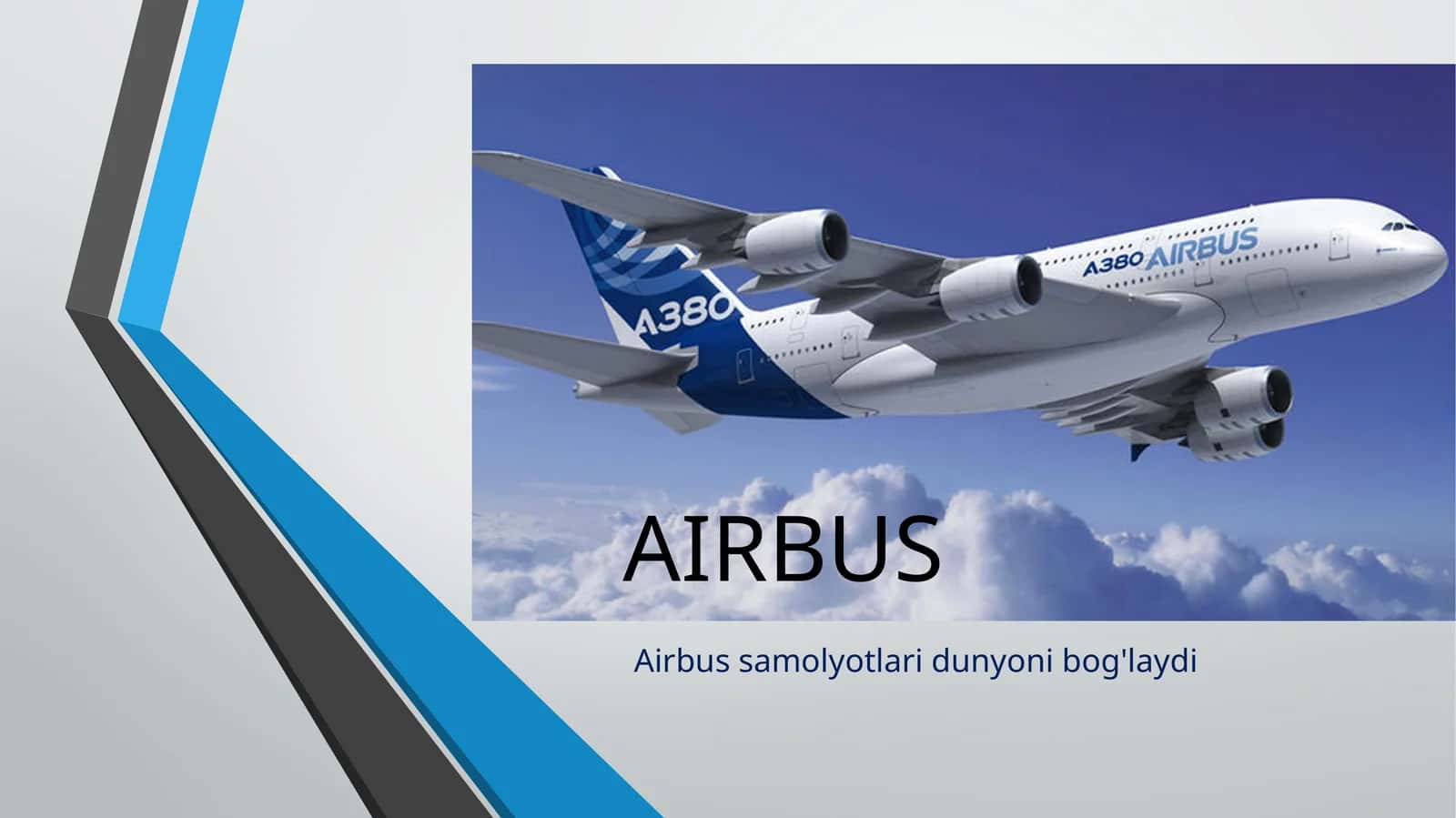 AIRBUS Company 1