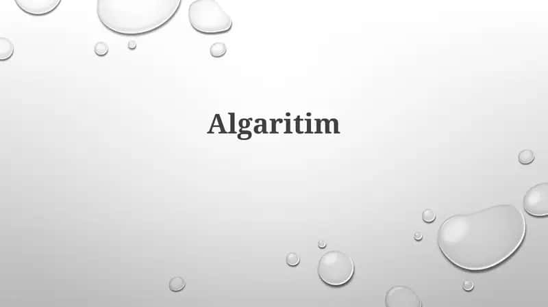 Algaritim 1