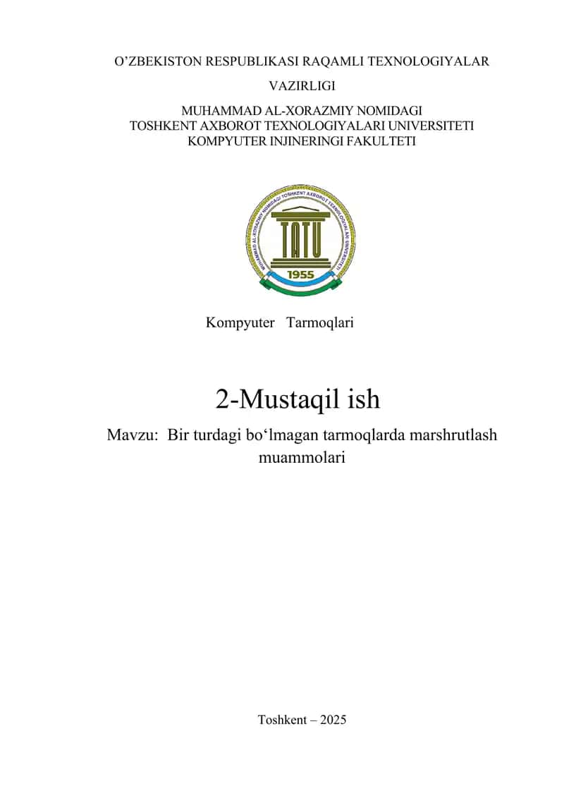 Bir turdagi bo‘lmagan tarmoqlarda marshrutlash muammolari 1