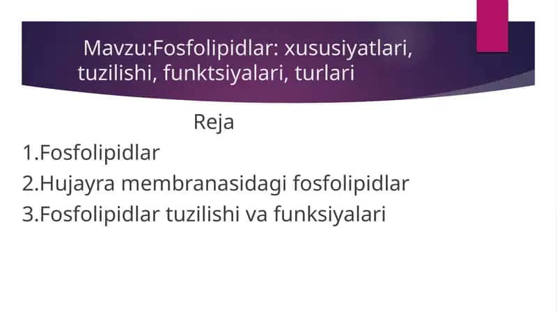 Fosfolipidlar 1