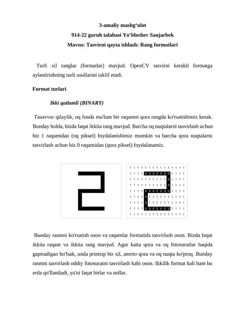 Tasvirni qayta ishlash: Rang formatlari