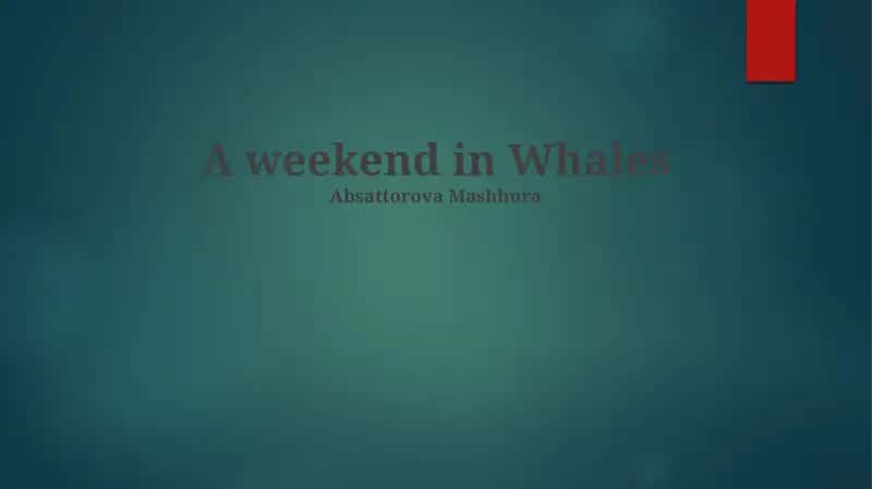 A weekend in Whales 1