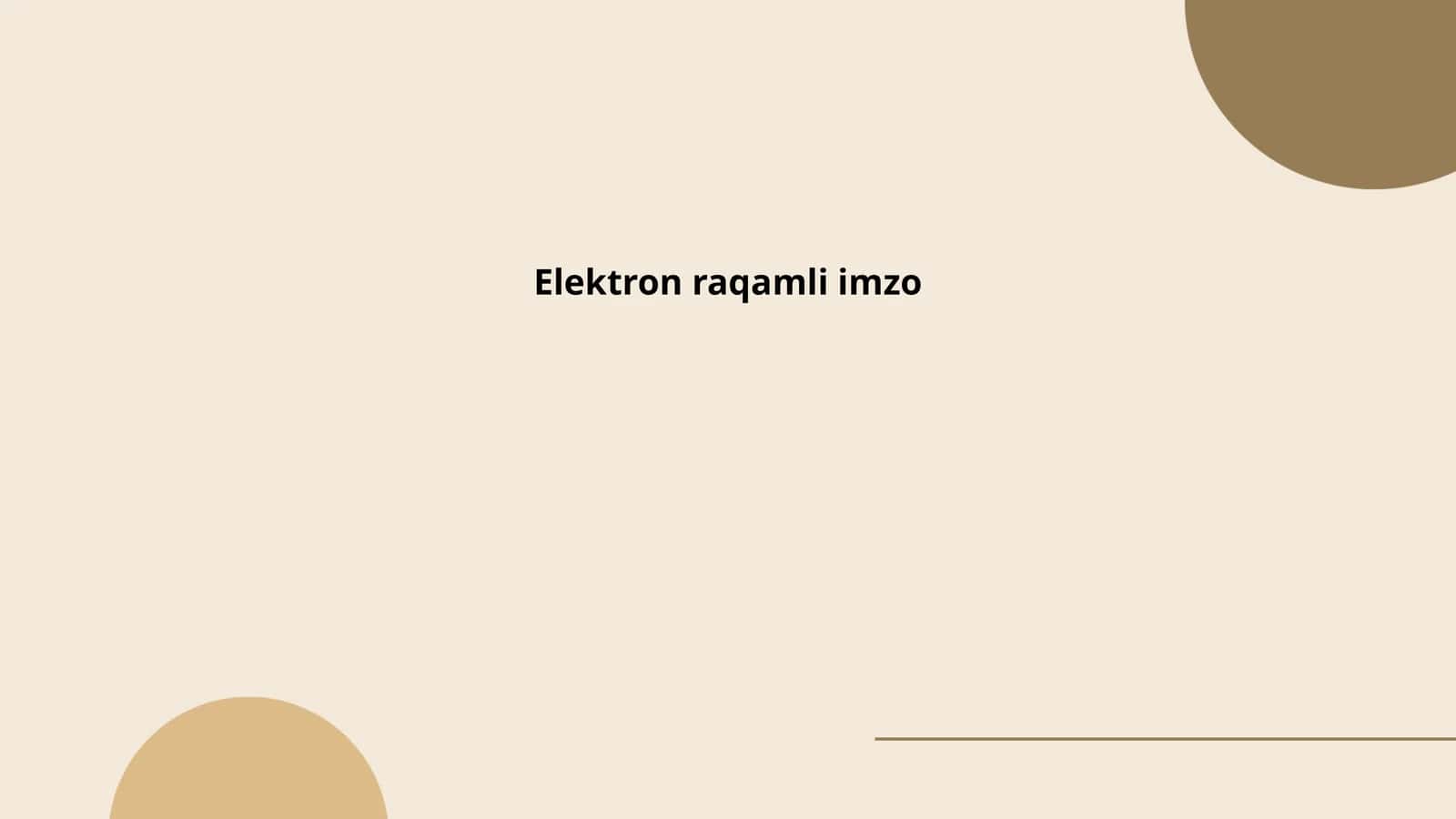 Elektron raqamli imzo 1