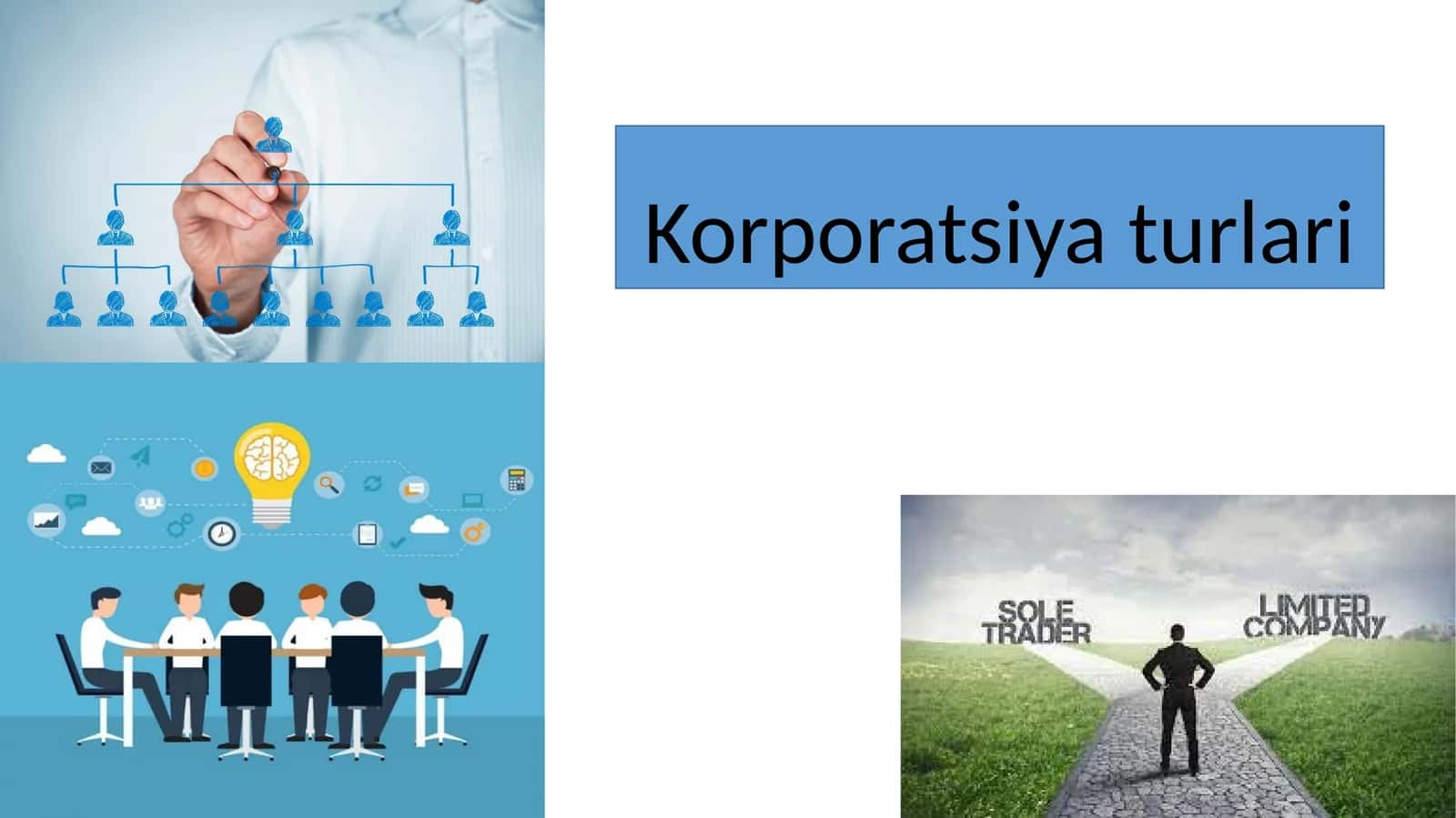 Korporatsiya turlari 1