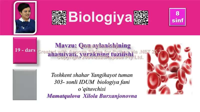 Qon aylanishining ahamiyati, yurakning tuzilishi 1