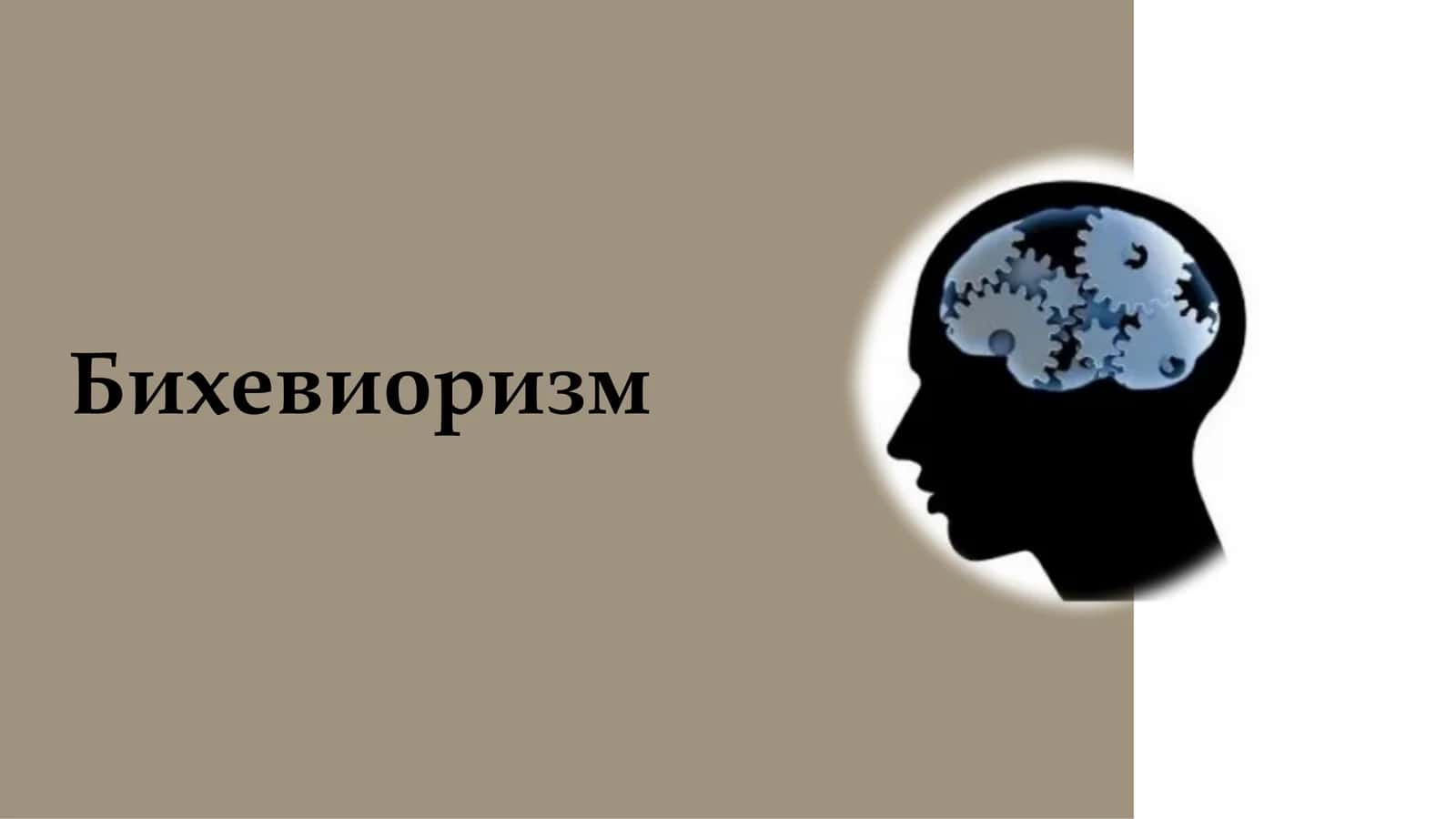 Бихевиоризм 1