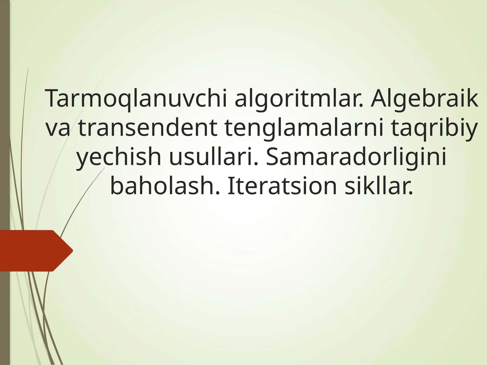Tarmoqlanuvchi algoritmlar 1