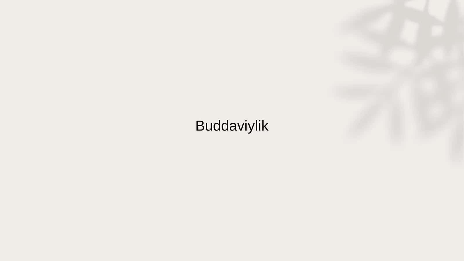 Buddaviylik 1