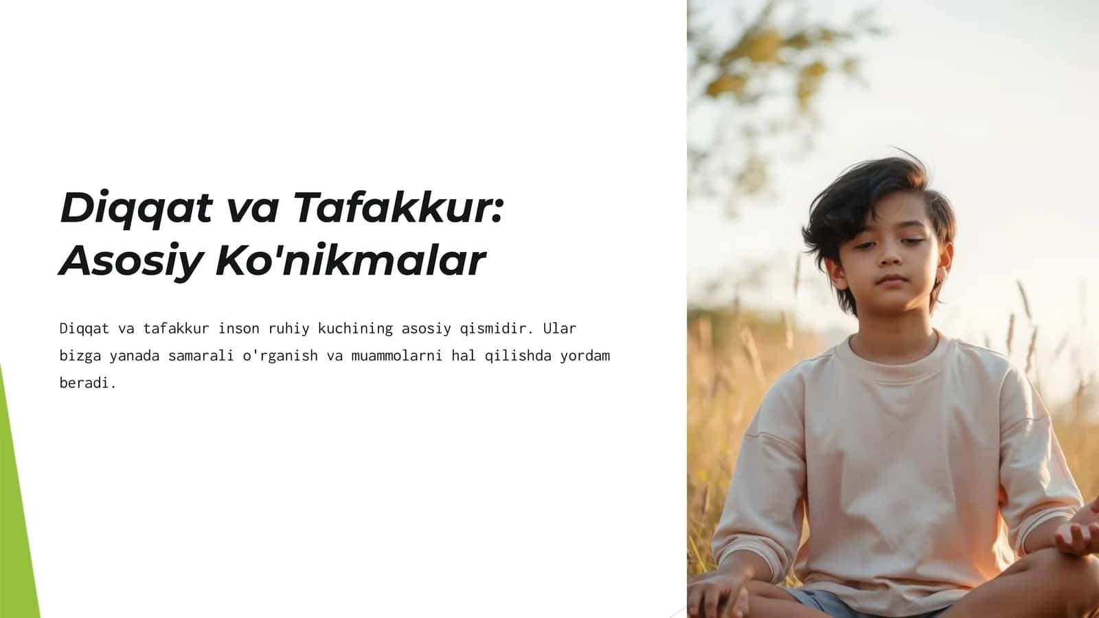 Diqqat va Tafakkur Asosiy Ko'nikmalar 1