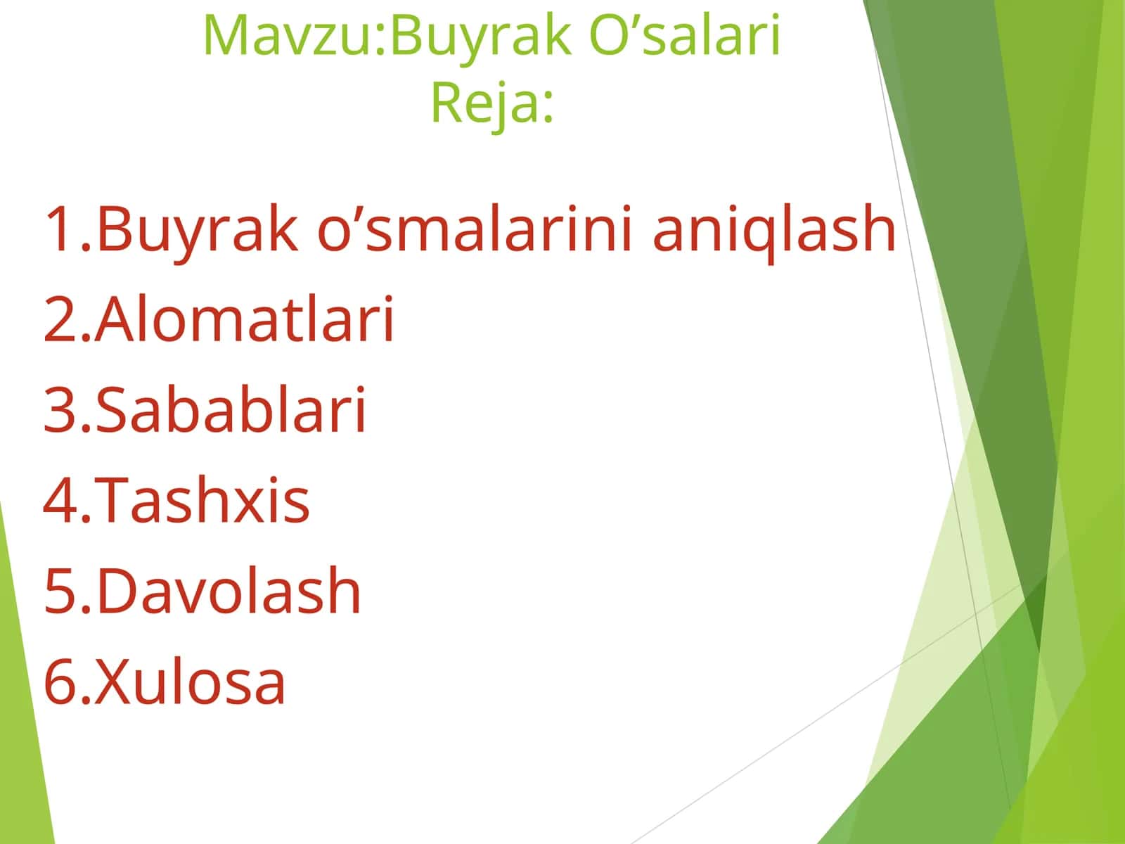 Buyrak O’salari 1