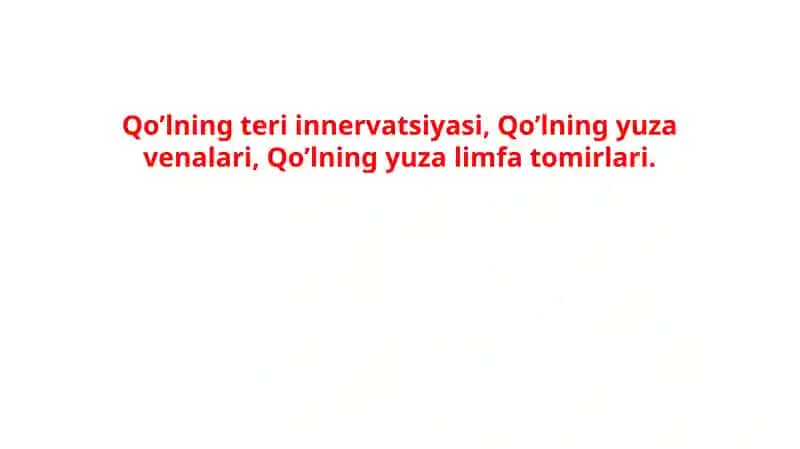 Qo’lning teri innervatsiyasi, Qo’lning yuza venalari, Qo’lning yuza limfa tomirlari.