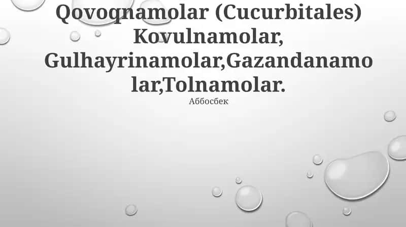Qovoqnamolar (Cucurbitales) 1