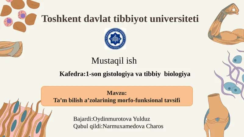 Ta’m bilish a’zolarining morfo-funksional tavsifi 1