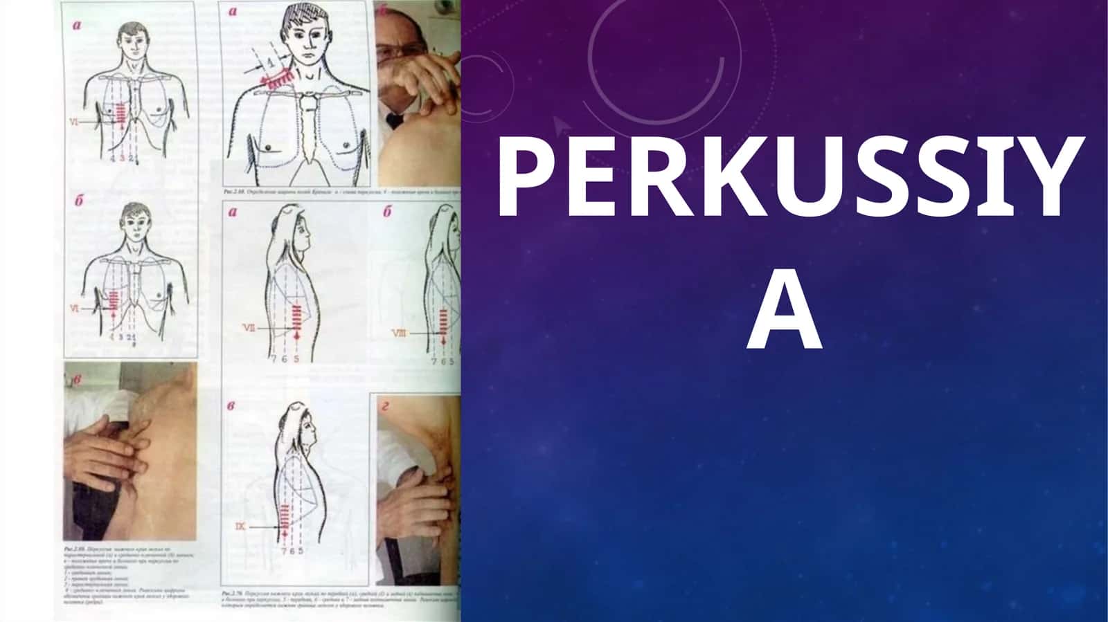 Perkussiya 1