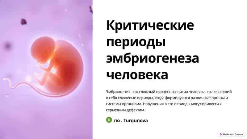 Гистология эмбриональных тканей 1