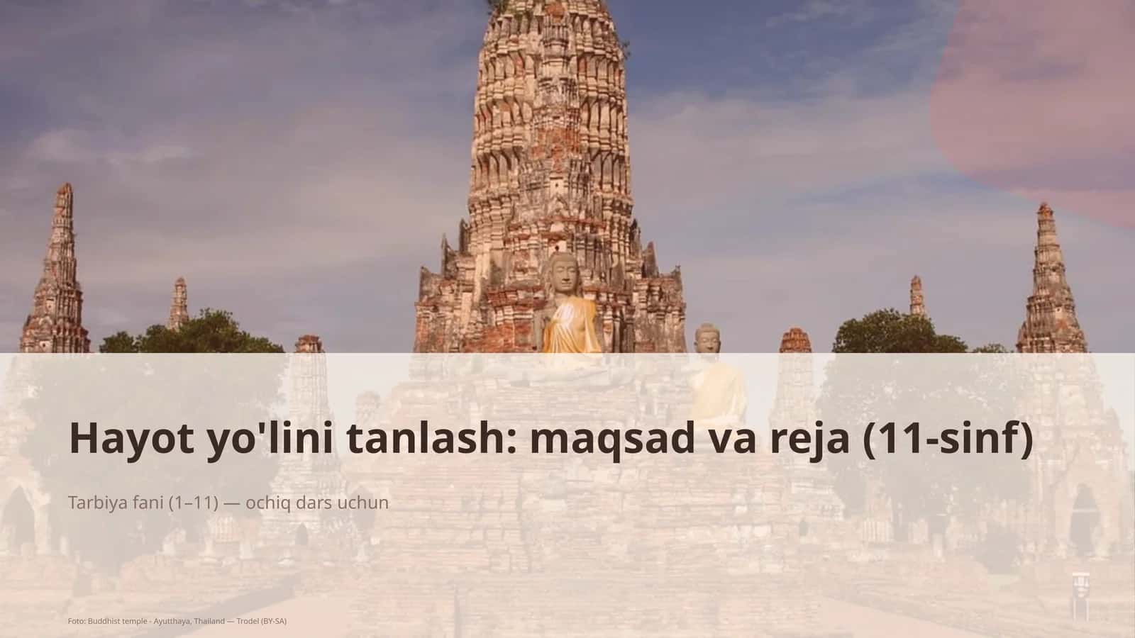 Hayot yo'lini tanlash: maqsad va reja (11-sinf) 1