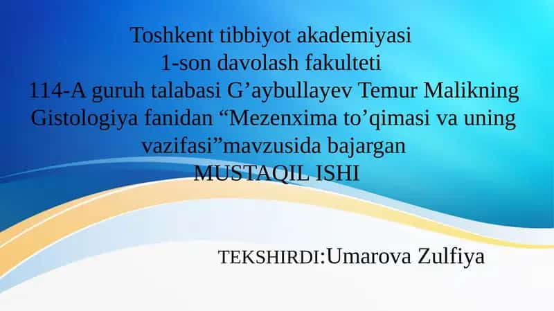 Mezenximato’qimasivauning vazifasi 1