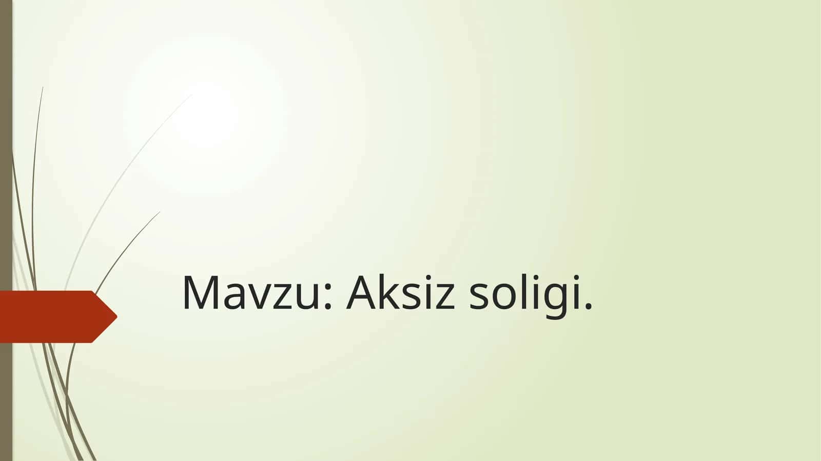 Aksizsoligi 1