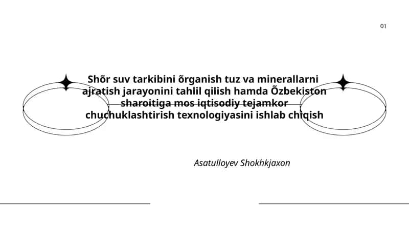 Shõr suv tarkibini õrganish tuz va minerallarni ajratish jarayonini tahlil qilish hamda Õzbekiston sharoitiga mos iqtisodiy tejamkor chuchuklashtirish texnologiyasini ishlab chiqish 1