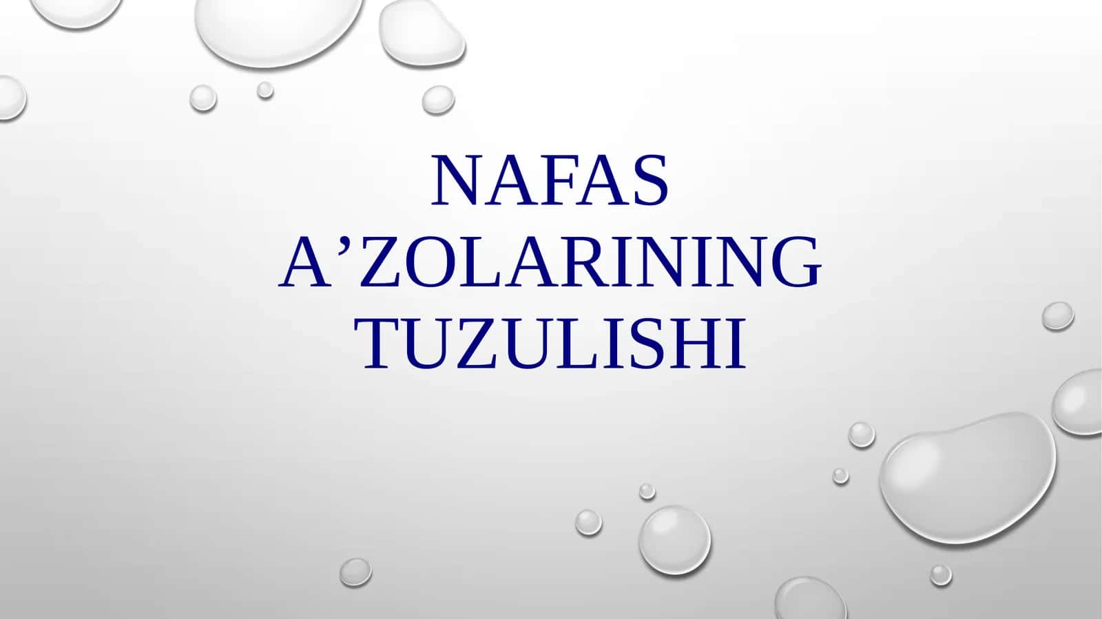 Nafas aʼzolarining tuzilishi 1