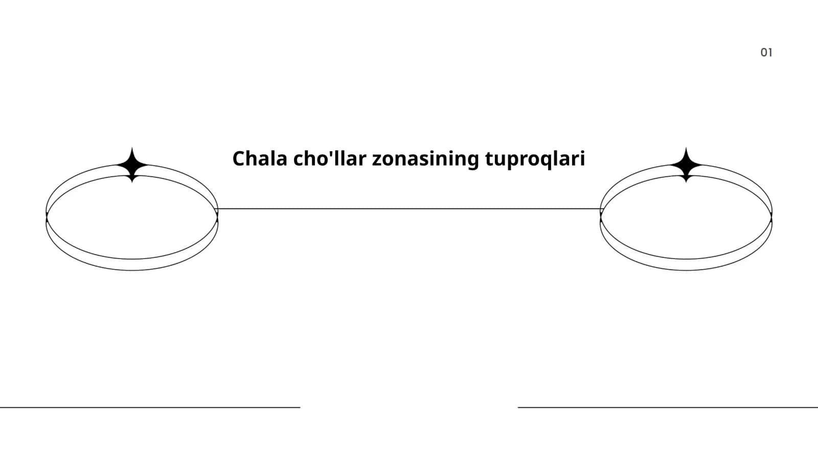 Chala cho'llar zonasining tuproqlari 1