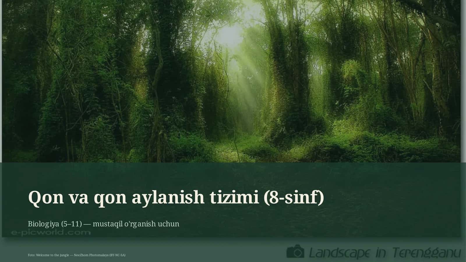 Qon va qon aylanish tizimi (8-sinf) 1