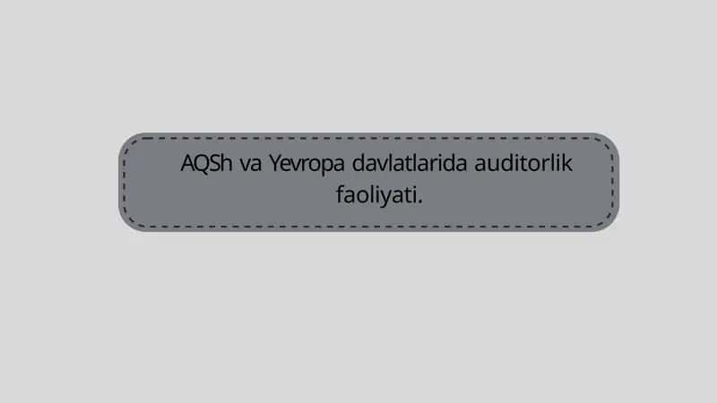 Auditorlik faoliyati 1