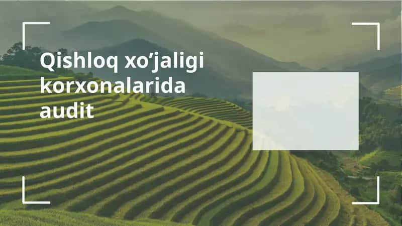 Qishloq xo’jaligi korxonalarida audit 1