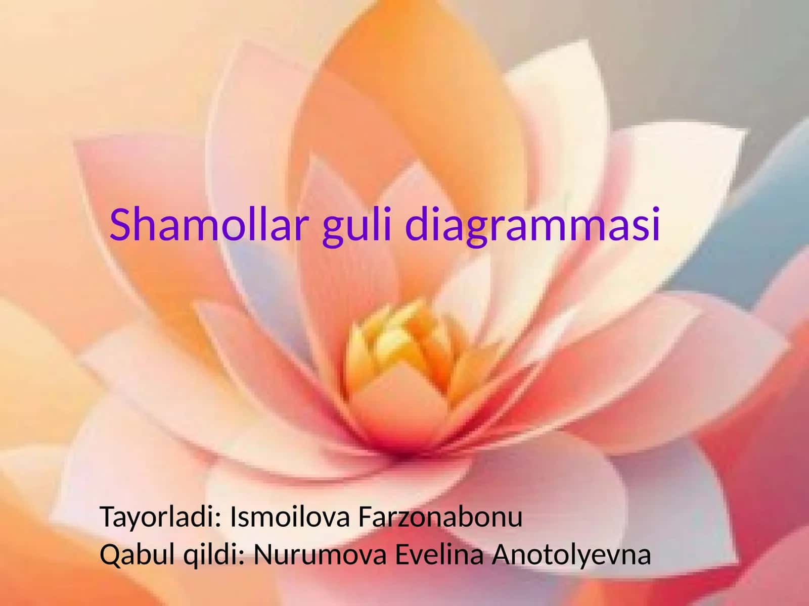 Shamollar guli diagrammasi 1