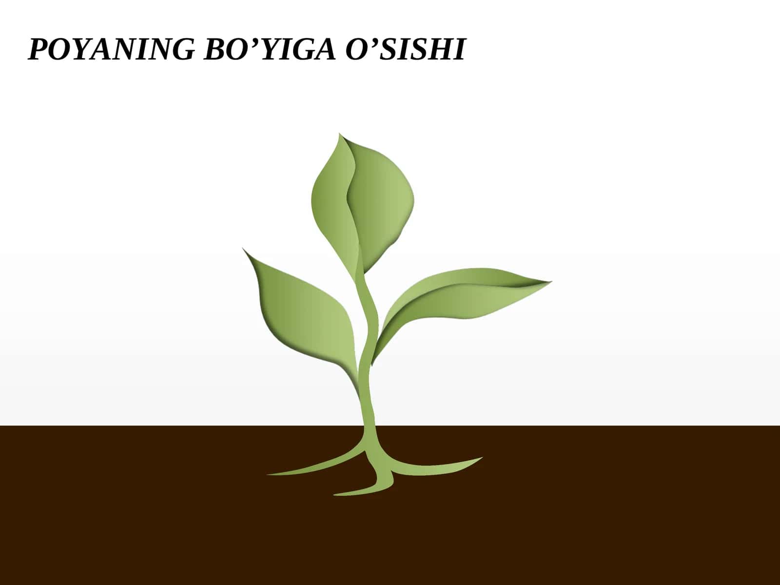 POYANINGBO’YIGA O’SISHI 1